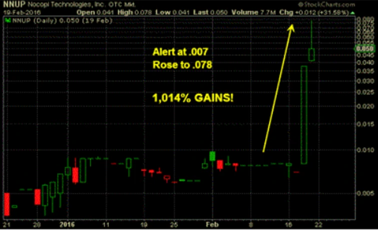 Investment Success Case Study